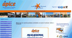 Desktop Screenshot of apiceepilepsia.org